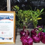 WhatsApp-Image-2021-07-01-at-11.14.17-PM-1