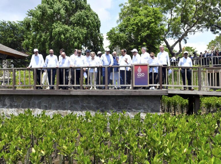 Prime Minister Shri Narendra Modi visited Mangrove forests:  G20 Summit Bali