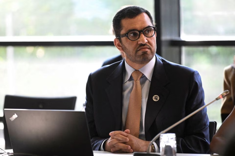 G20 should lead way on energy transition plans at COP28, event president says