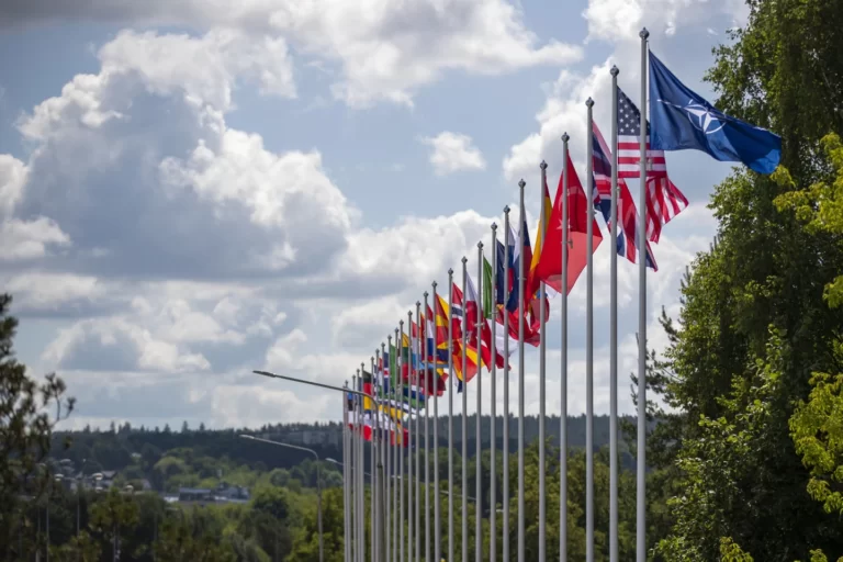 NATO unity will be tested at upcoming summit. Ukraine’s possible entry may be the biggest challenge