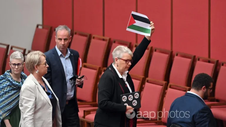 Pressure mounts on Australia to call for Gaza ceasefire, Greens boycott question time after labor rejects ceasefire call on Gaza