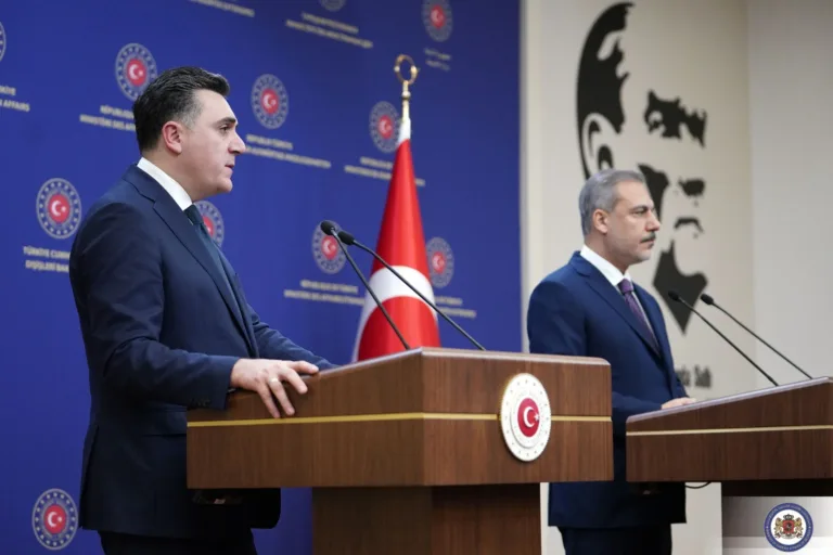 Georgia proud of friendship, strategic partnership with Türkiye: FM Ilia Darchiashvili