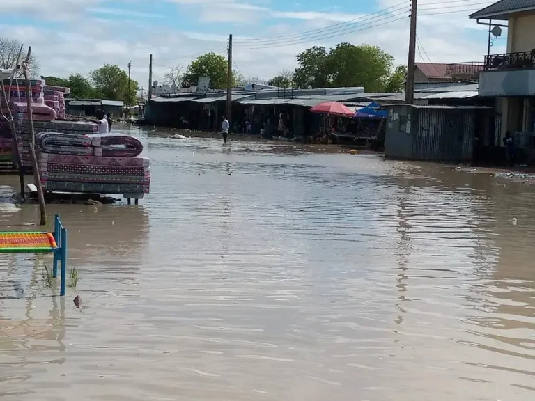 UN provides 15 mln USD for floods response in South Sudan