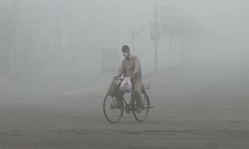 Six killed in road accidents linked to smog in Pakistan's Punjab province