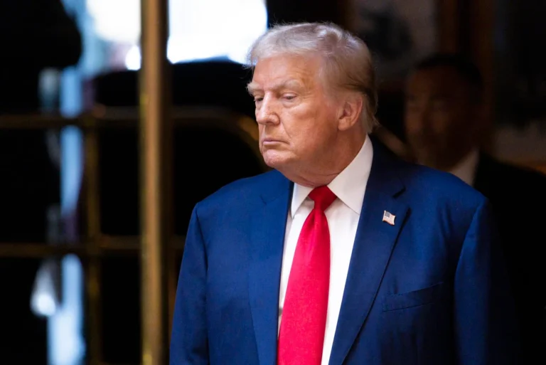Trump Starts Drafting First Executive Orders, Assembling Potential White House Team