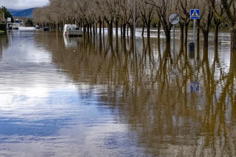 More than 40 Schoolchildren Rescued from Flooded Retreat in Southern Spain