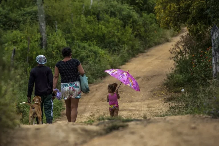 Rural Violence Persists in Brazil Despite Drop in Murders, Report Finds