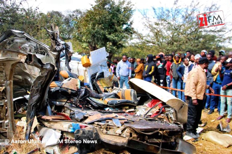 17 Killed in Horrific Head-On Collision Between Minibus and Truck in Zimbabwe