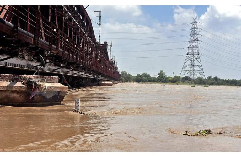 Yamuna Crosses Danger Mark in Delhi as Punjab, Himachal Reel Under Floods