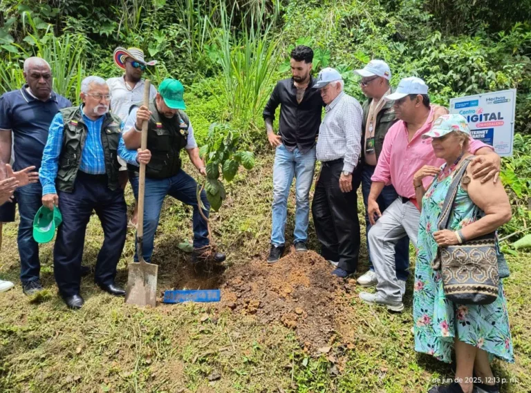 World environment day celebrated globally to promote environmental protection