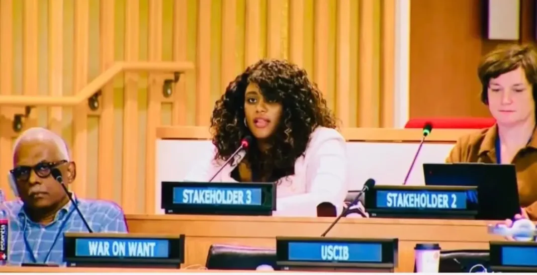 Farah Delance Foundation brings Haiti and Caribbean Perspective to UN tax talks